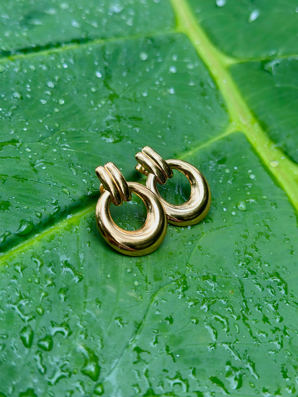 Pendientes Ava